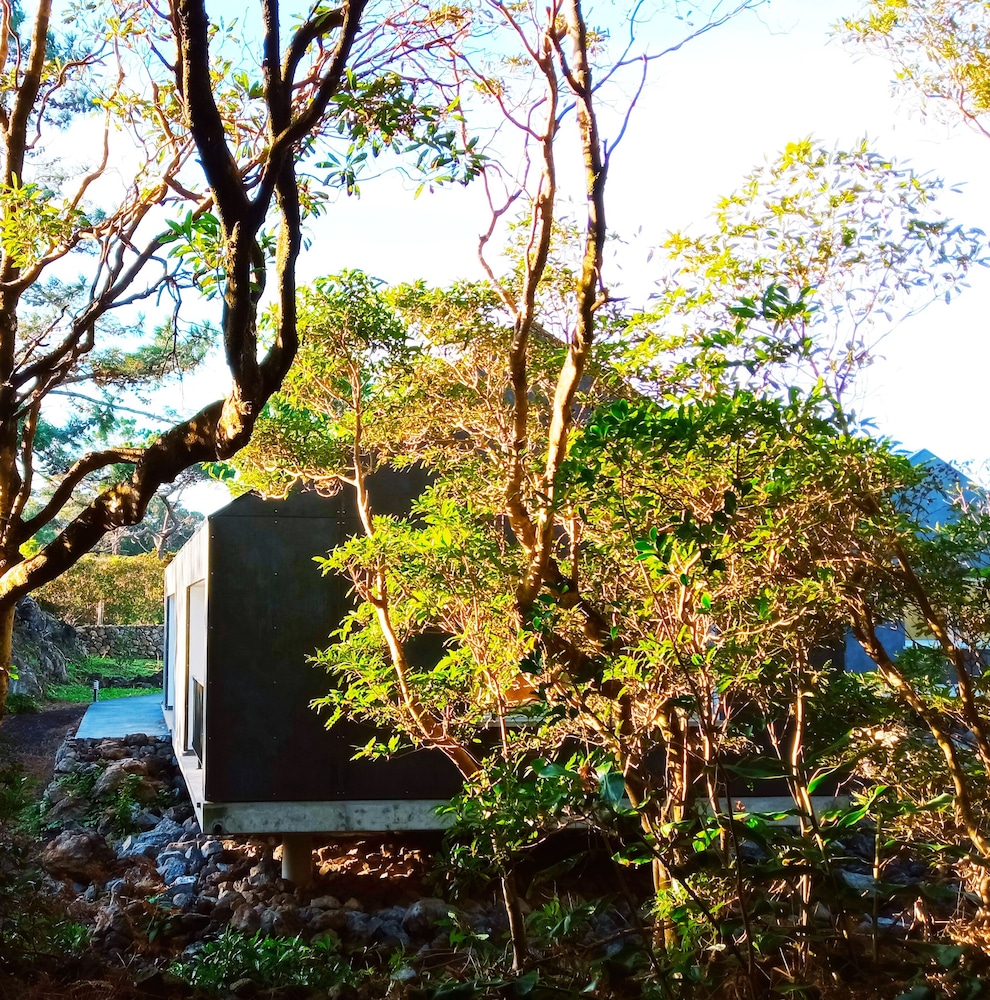 Casas do Morgadio - azorean wine & lodge view 5