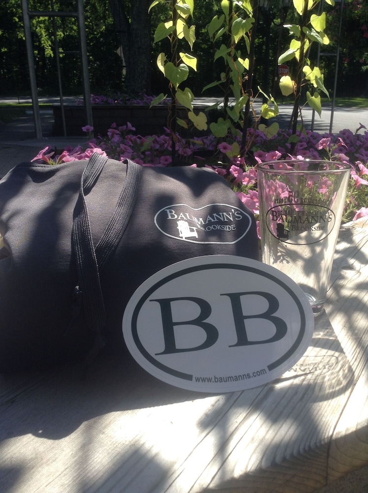 Greenville Vacations - Baumann's Brookside Resort - Property Image 13