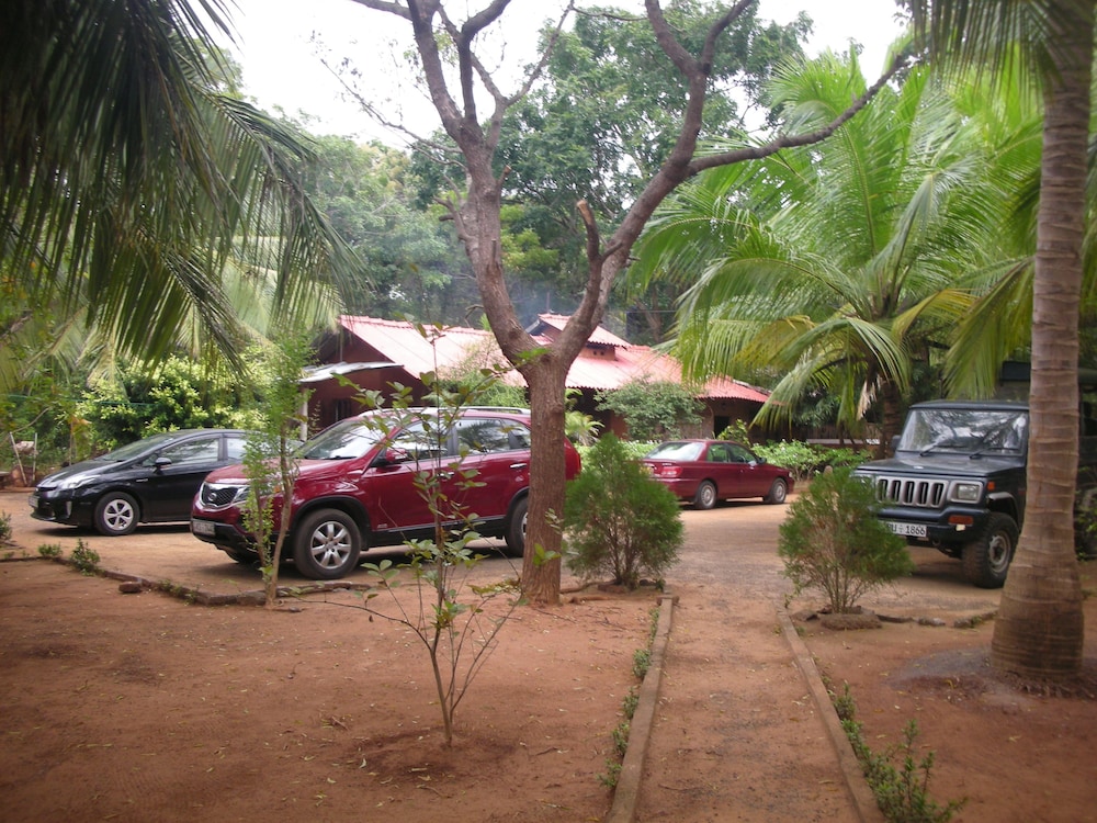 Photo 8