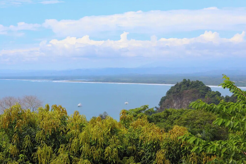 Mi Zaru Sea View Animal Paradise
