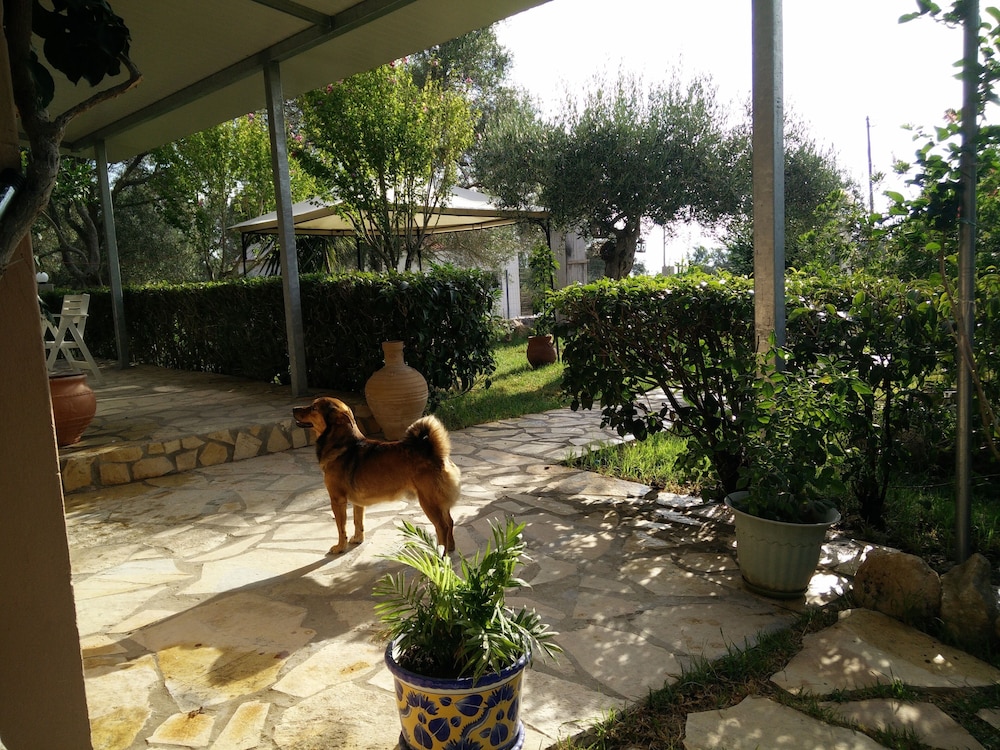 Photo 20