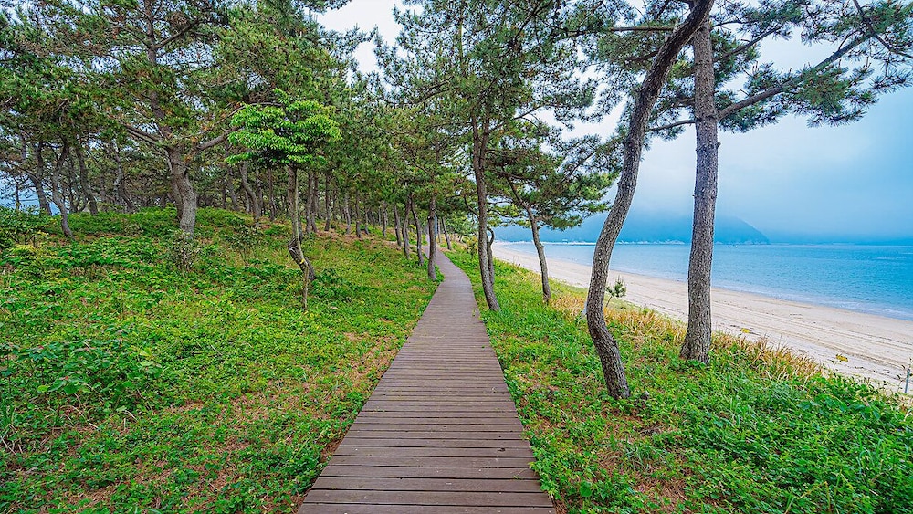 Wando Sol Beach Pension