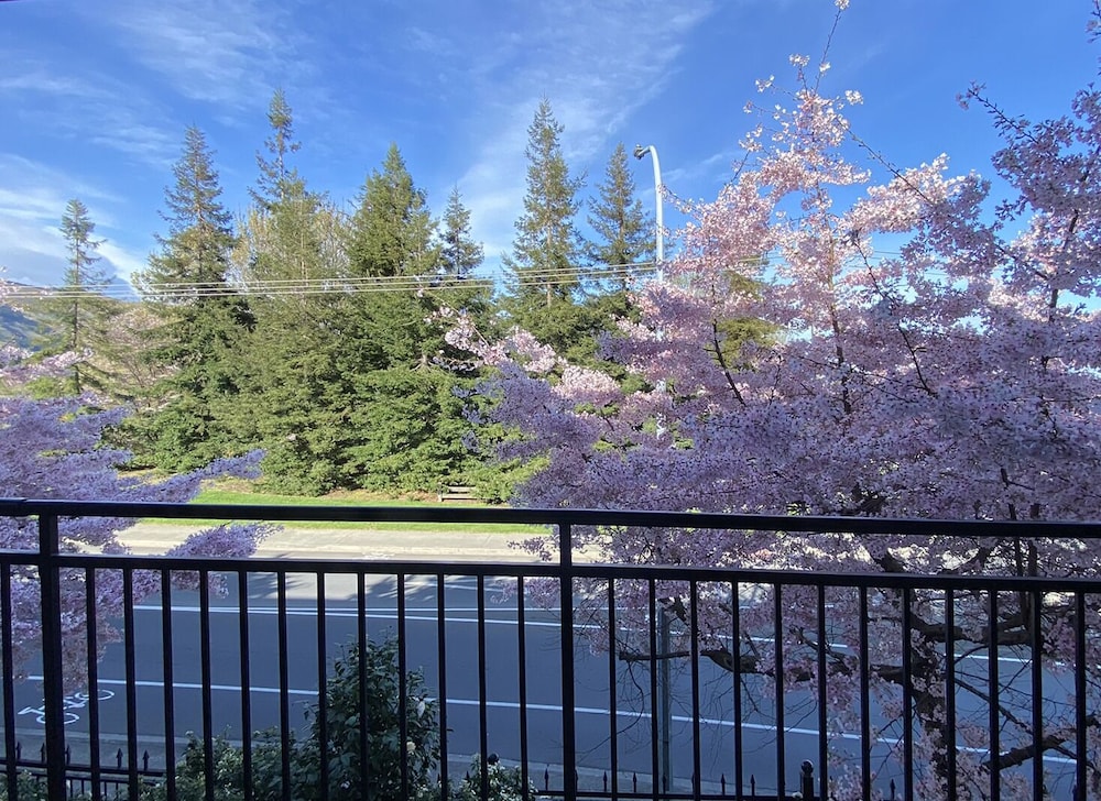 Saxton Lodge — photo 28