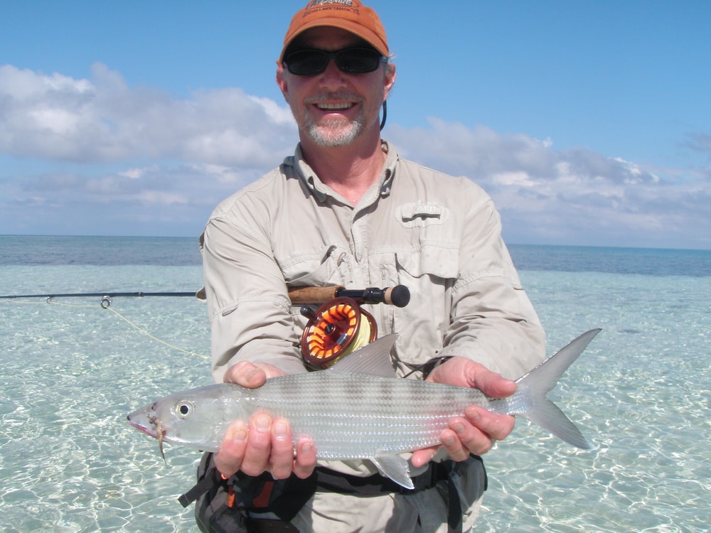 Cotton Tree Lodge