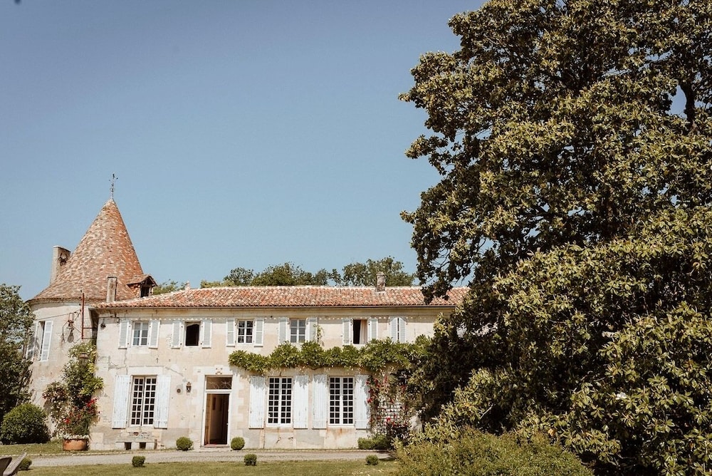 CHATEAU DE PUYRIGAUD - Property Image 14