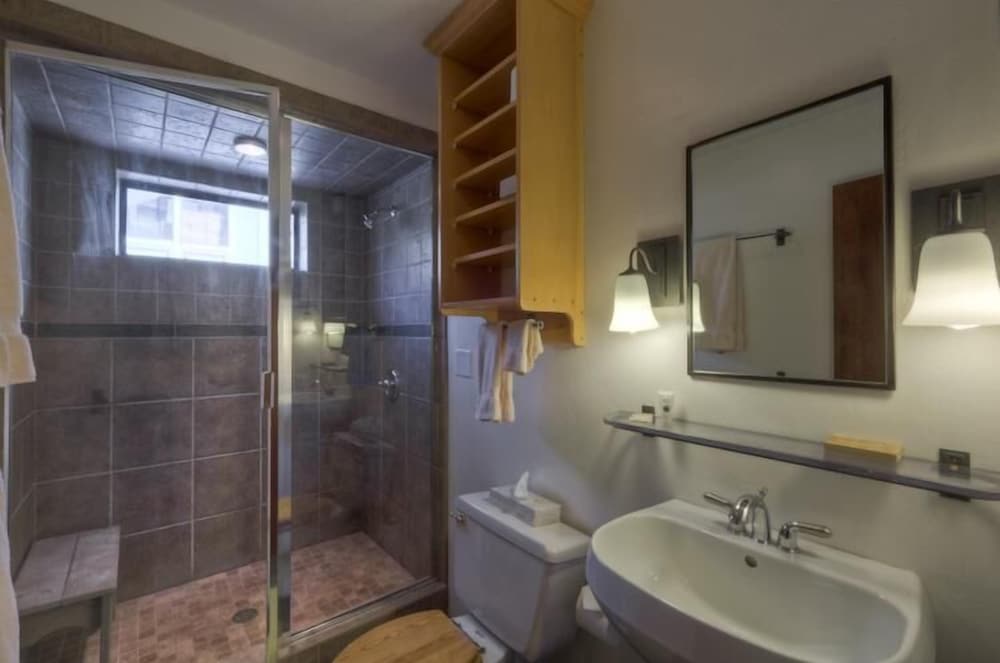 Boomerang Lodge 3 2 Bedroom Condo By Accommodations in Telluride
