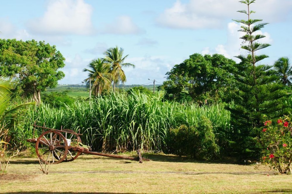 Au Jardin Debeauséjour