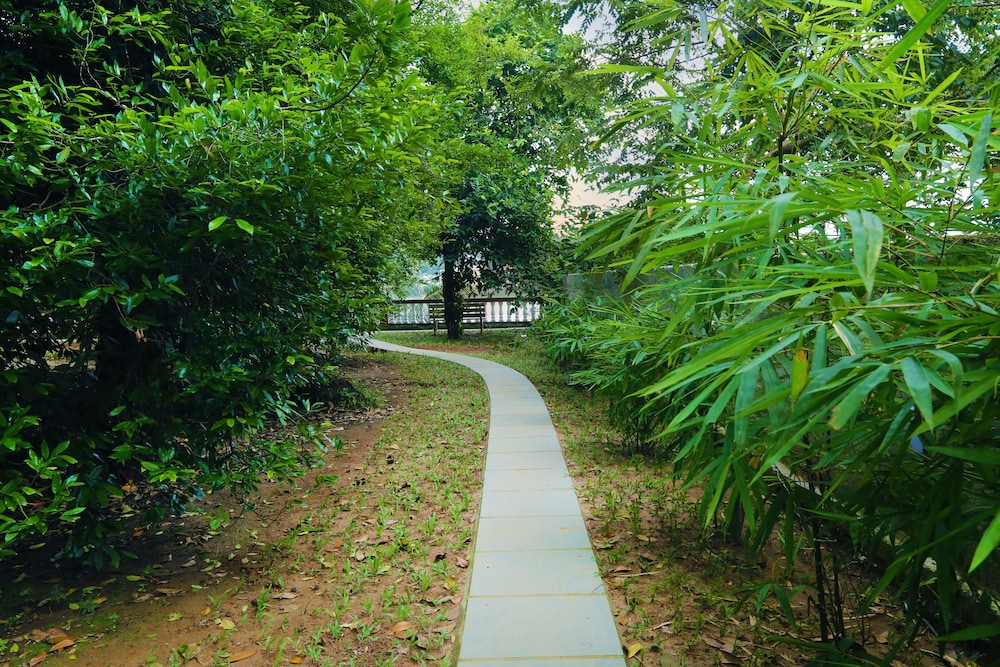 Photo 38