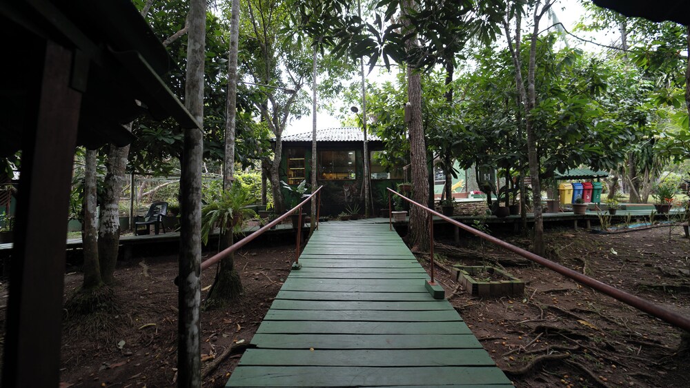 Photo 44