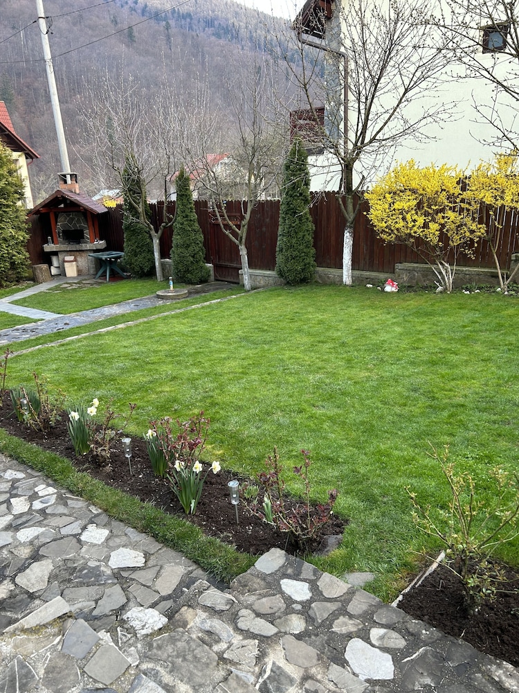 Photo 49