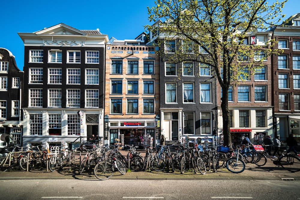 Dutch House
