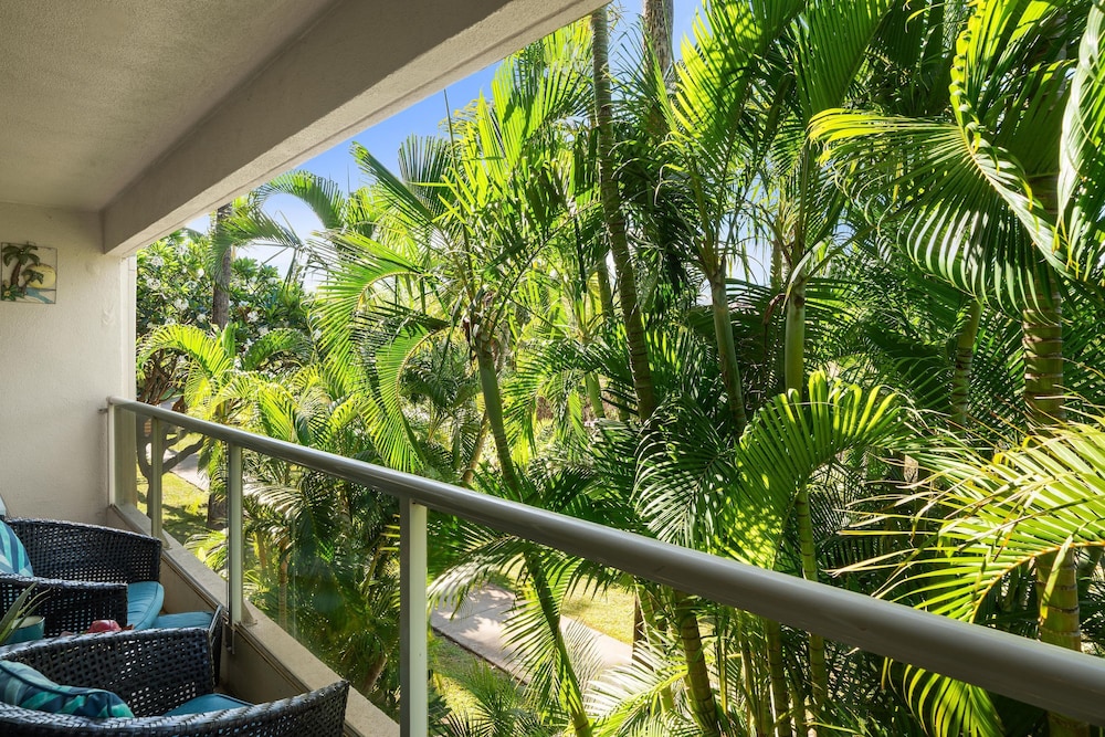 Maui Banyan H207 in Kihei