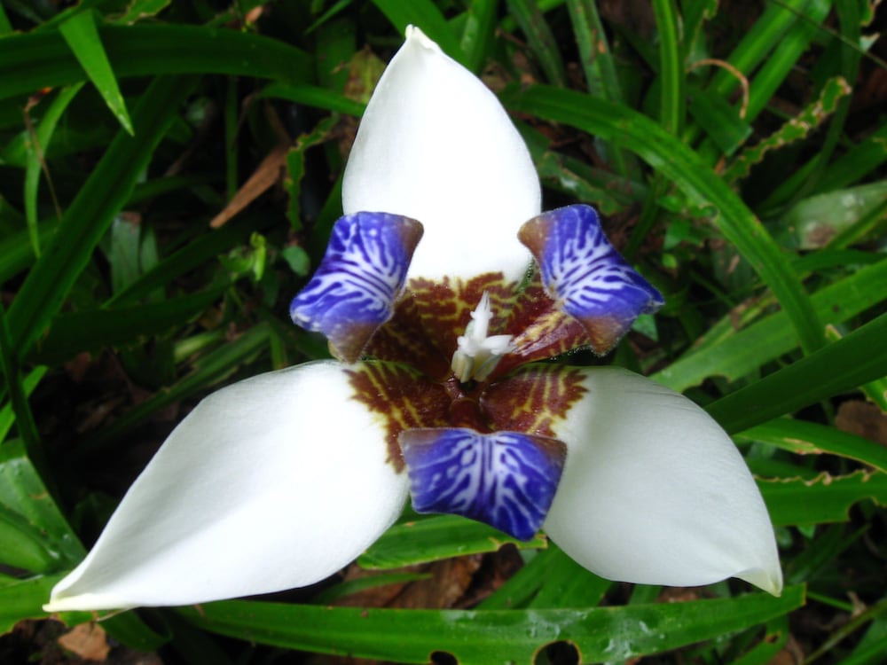 Photo 30