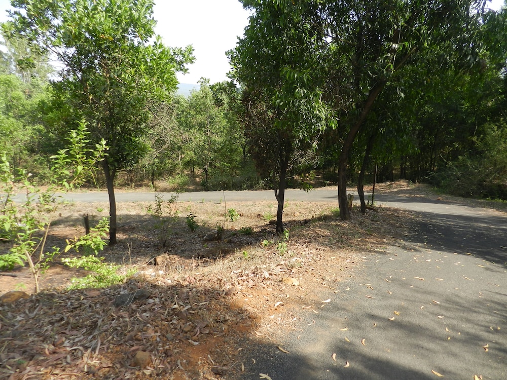 Hotel Sawai Mansing Hill Resort