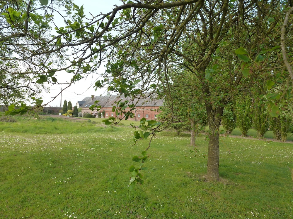 Ferme de Bonavis - Studios