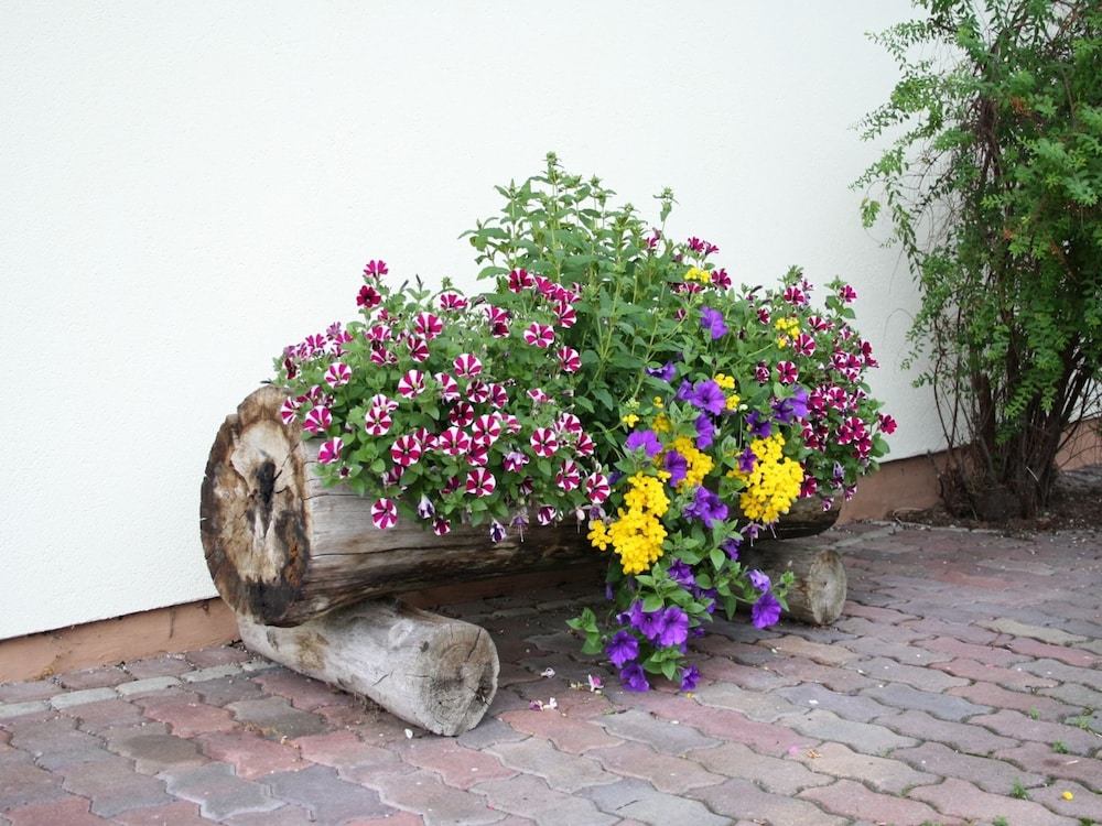 Photo 22