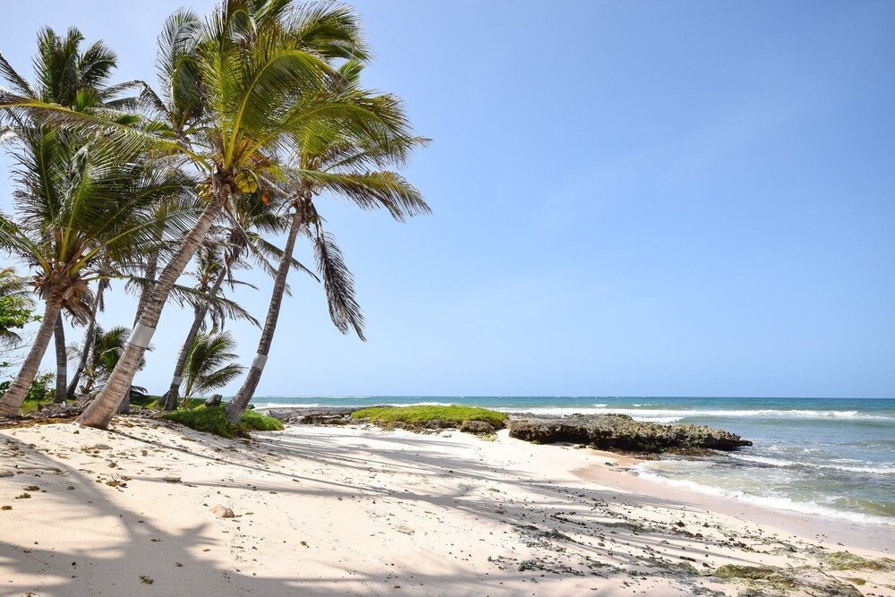 Oceanfront 2-bed Apt With Pool Near Surfing - Rosalie #2 2 Bedroom Apts by Bluescape