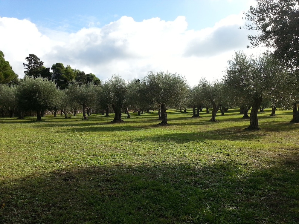 Serra E Mesu