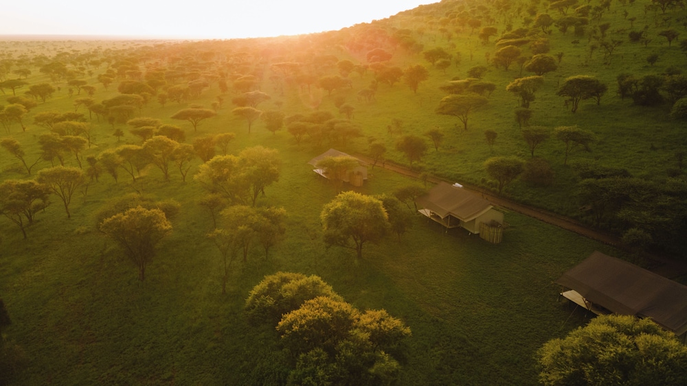 Awali Serengeti Camp