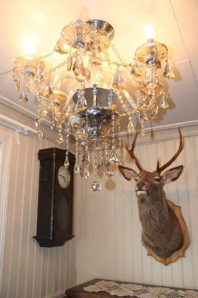 Bergen Vacations - Center Villa - Property Image 8
