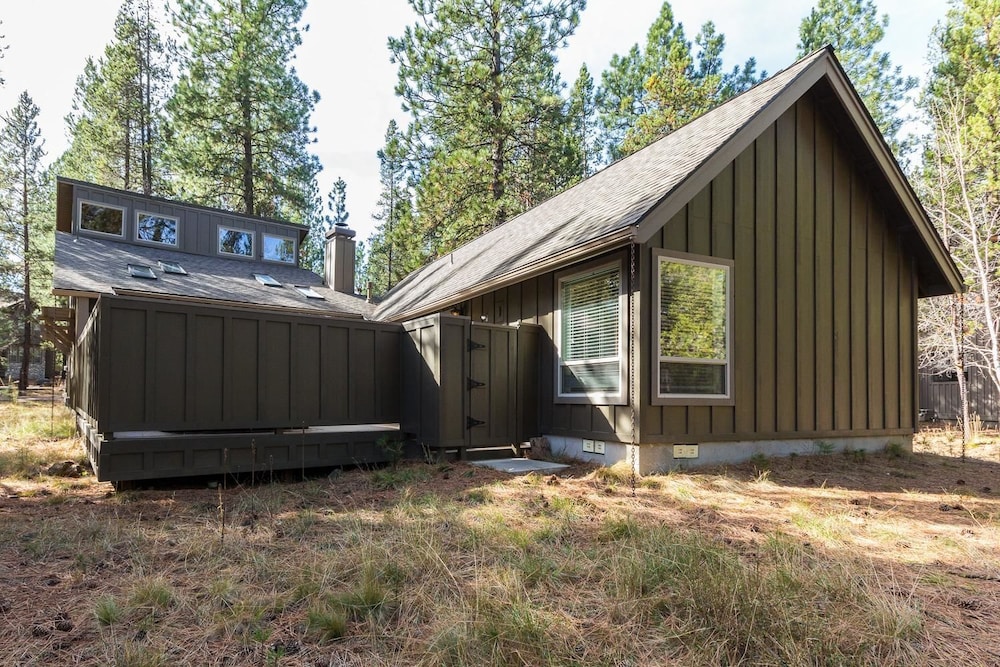 Conifer 7