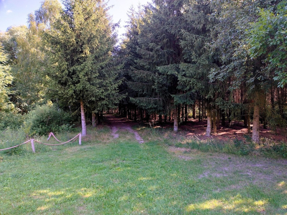 Photo 8