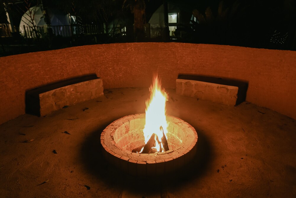 Photo 31