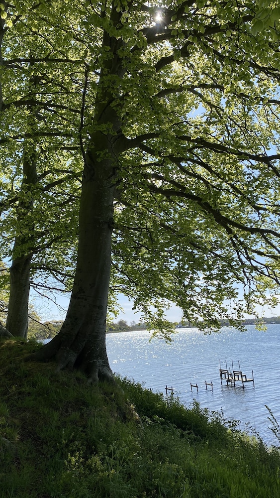 Photo 42
