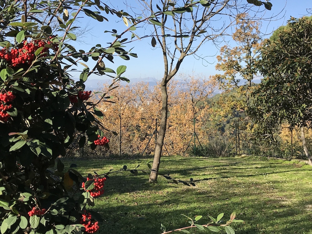 Camping Le Ranch view 5