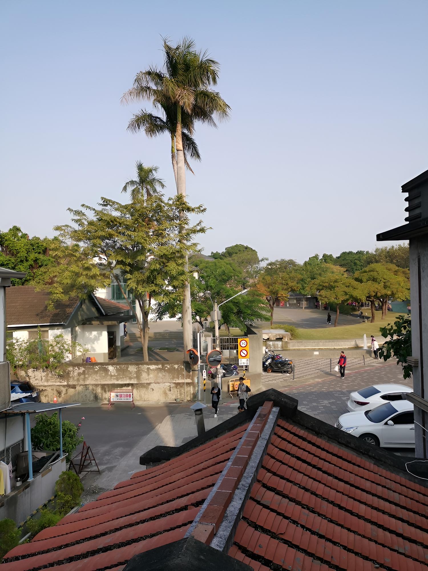 Photo 46