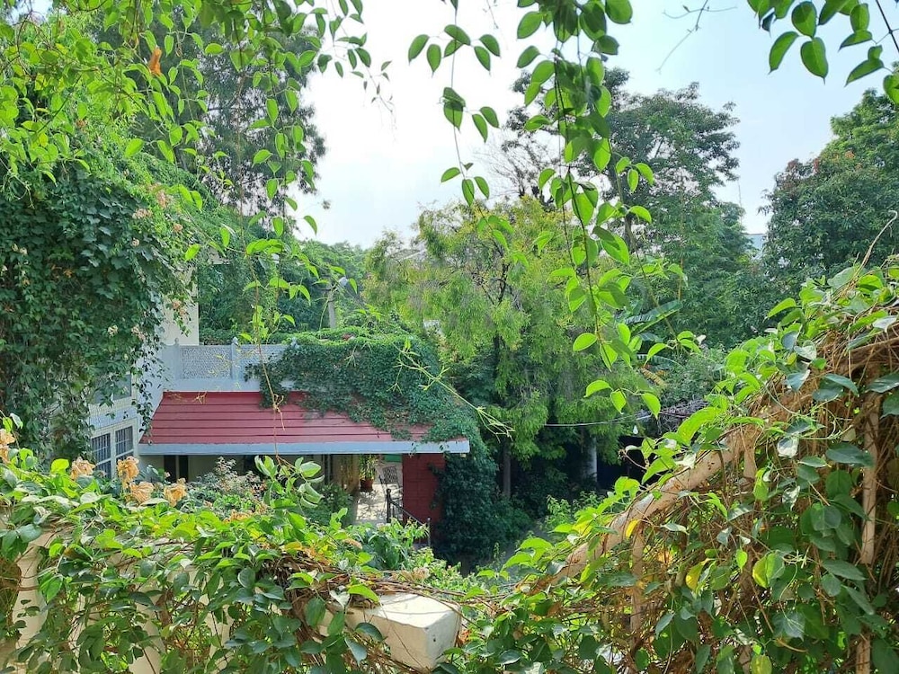Vijaya's Homestead