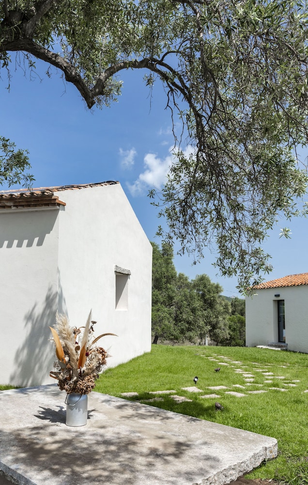 Arzachena Vacations - Uddastri Retreat - Property Image 5
