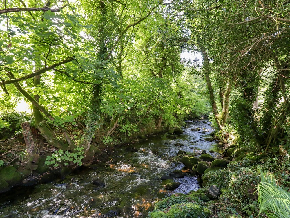 Taw River View