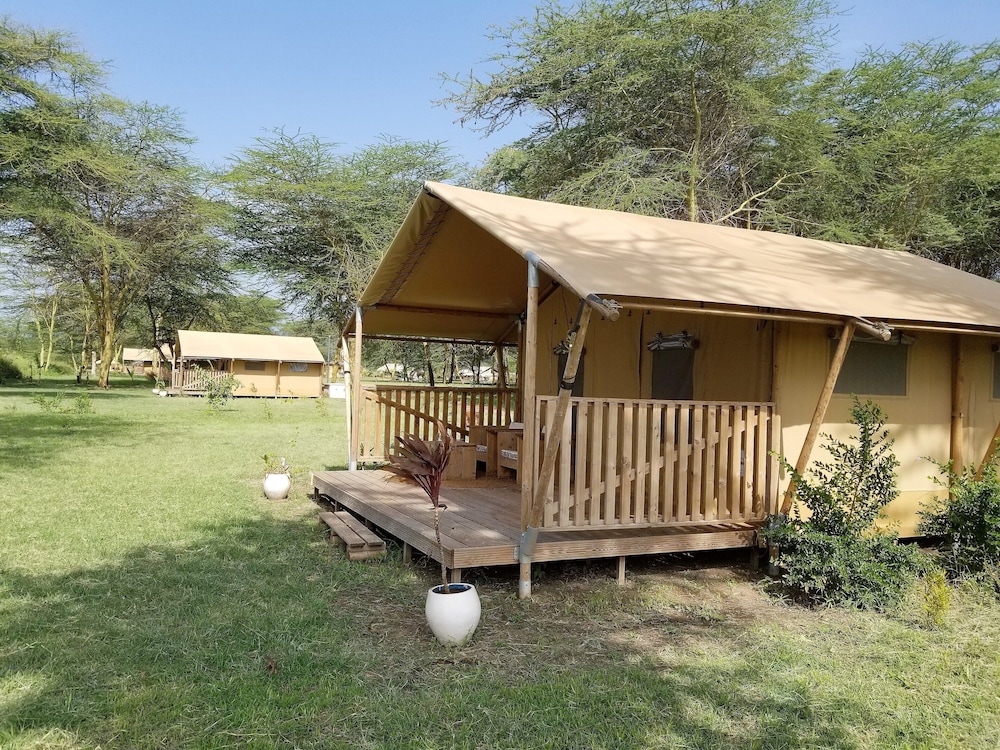 Africa Safari Lake Manyara