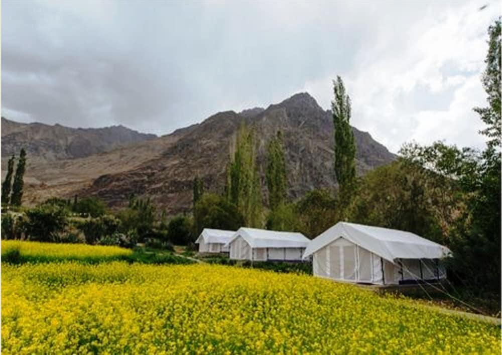 TIH Magpie Camp