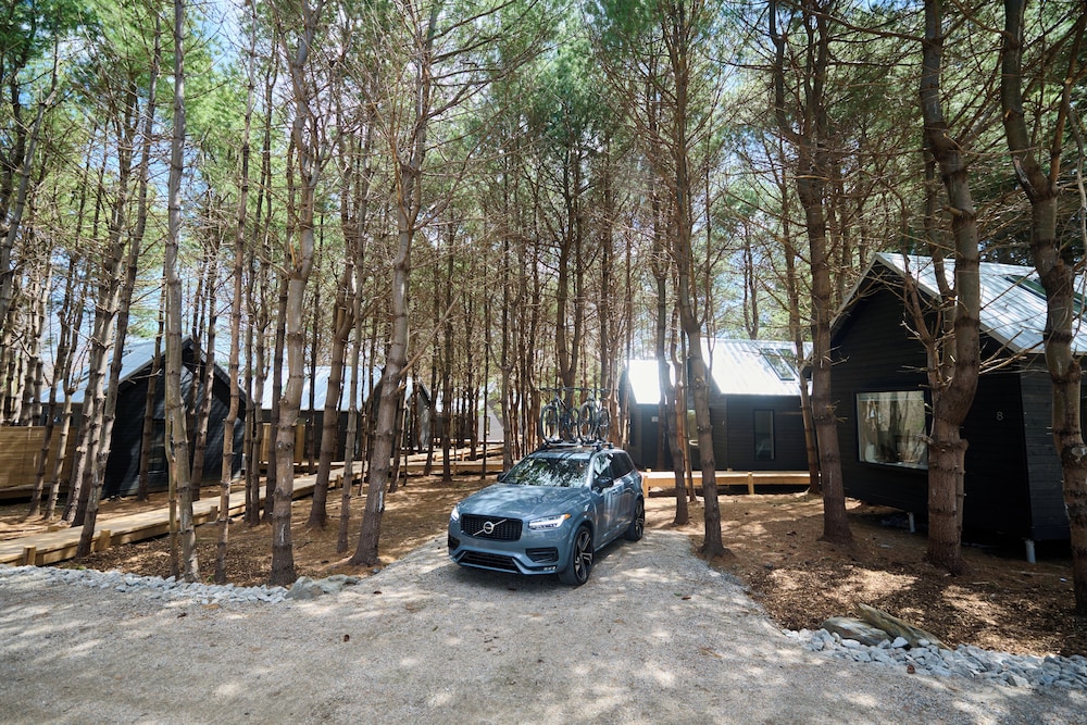 Black Forest Cabins