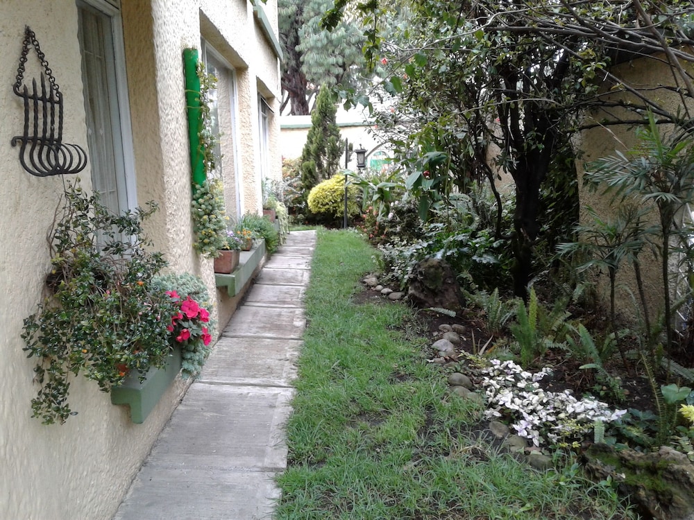 Photo 15