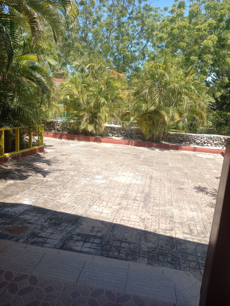 Photo 42