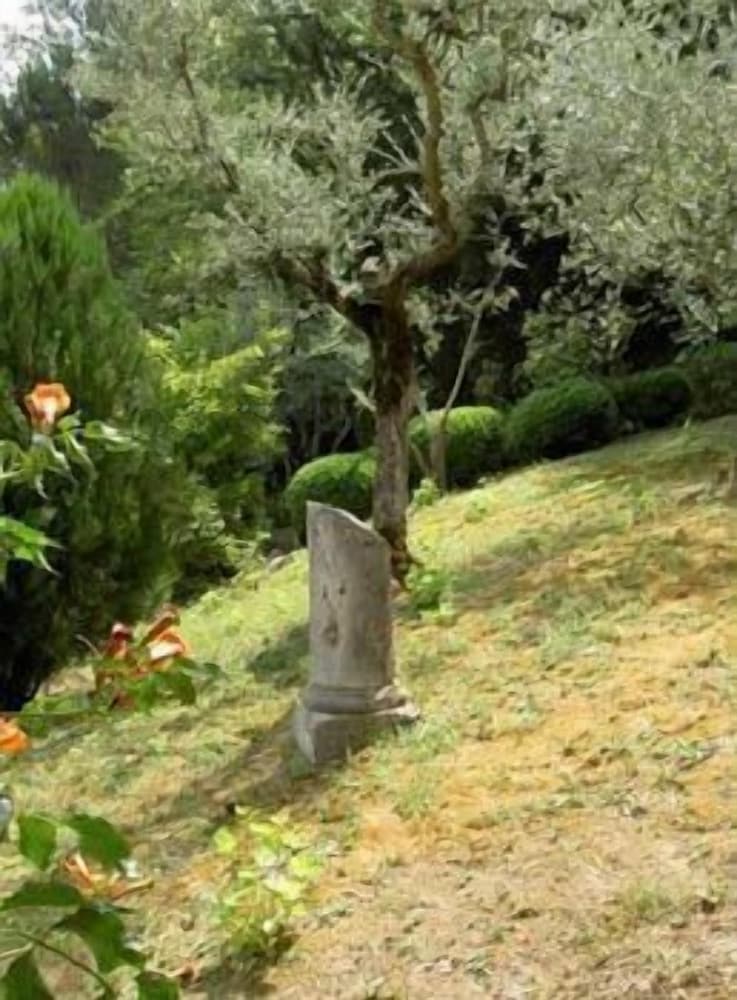 Villa Cicchi