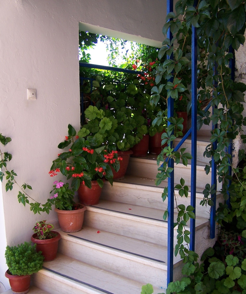 Gianna Studios