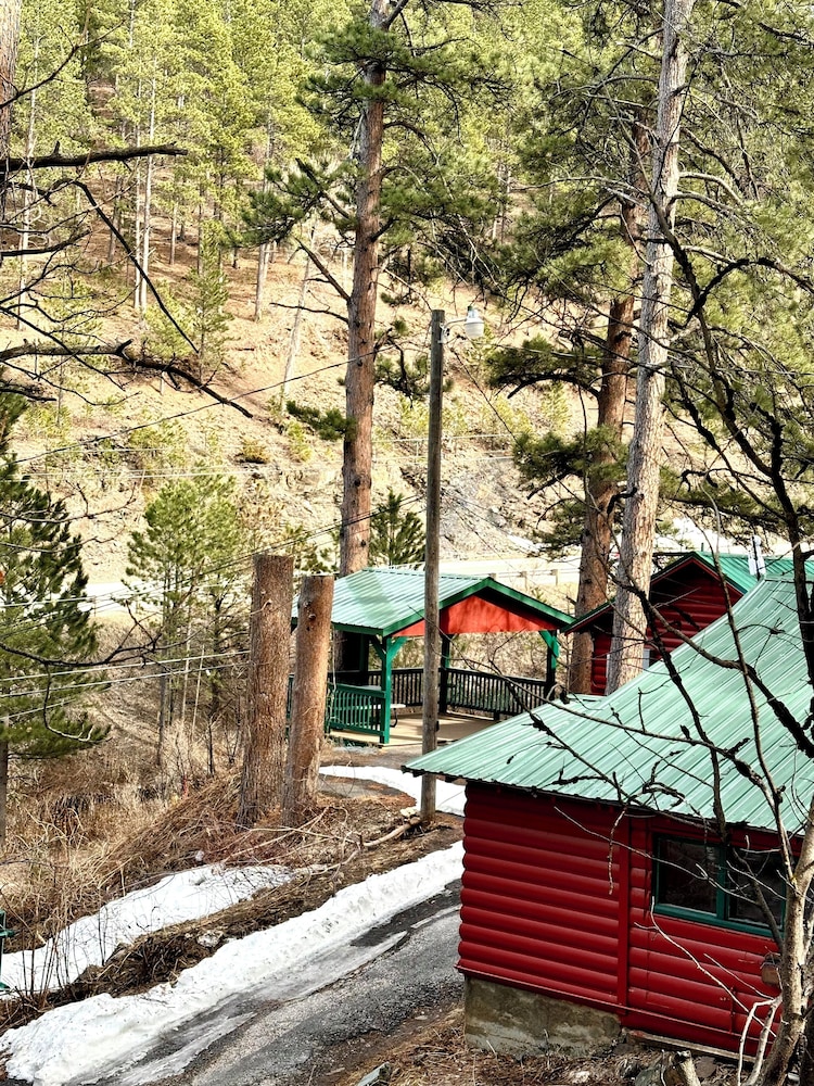 Ponderosa Pines