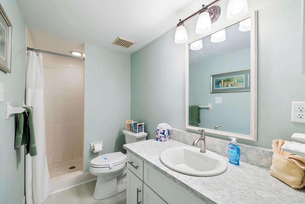 Modern Lakeside Condo 2 Bed, 2 Bath Oldsmar, FL