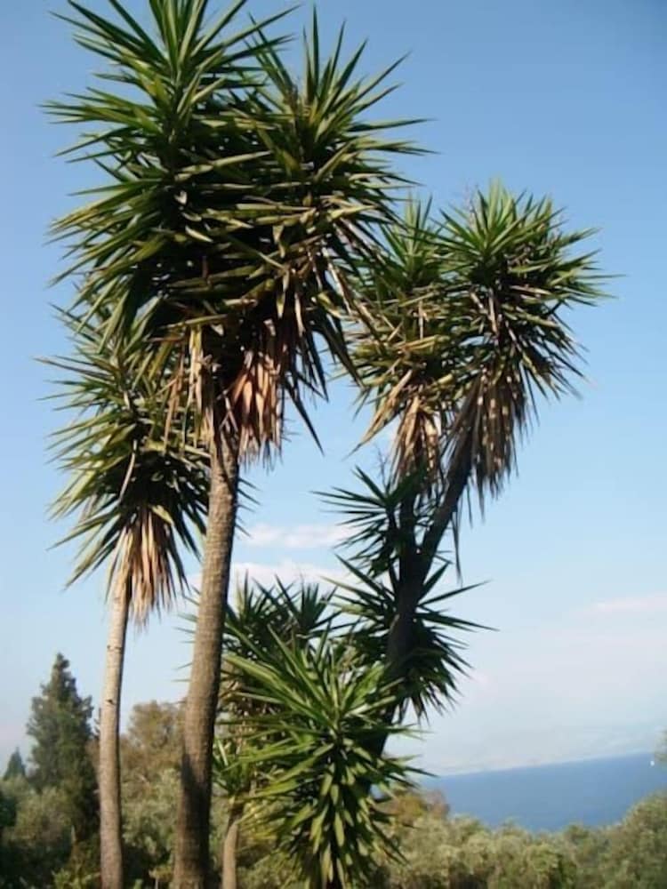 Villa Emily en Corfu