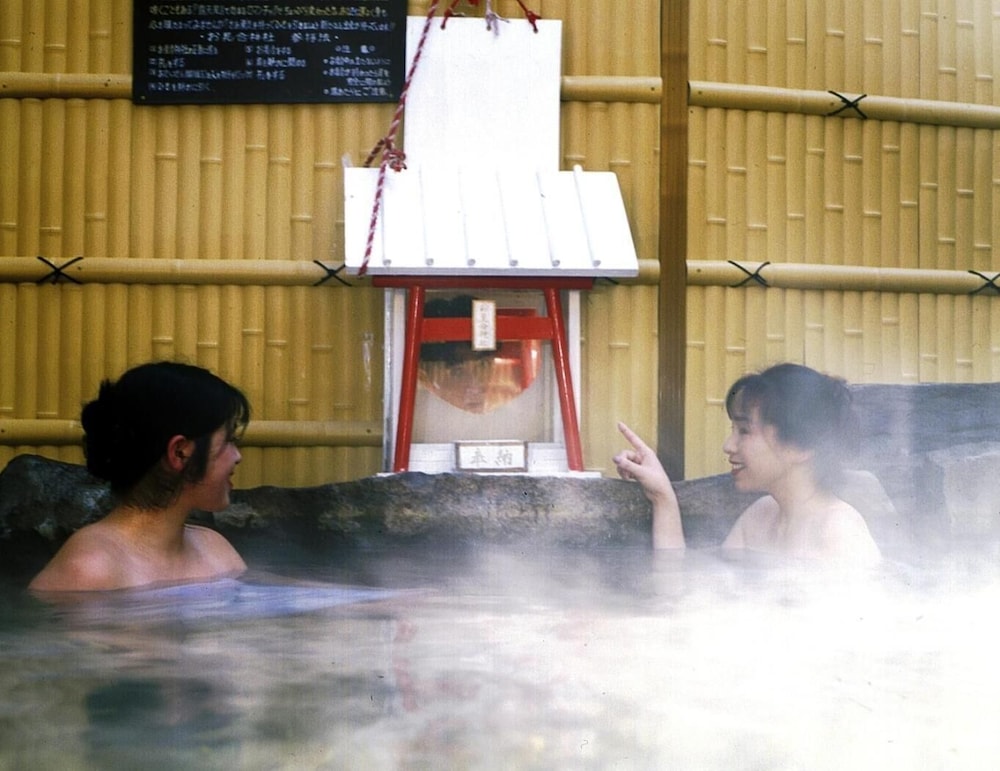 Nakaoyama Onsen Shosenkaku