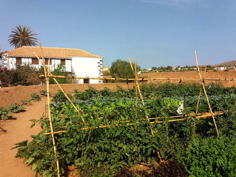 Rural Rugama