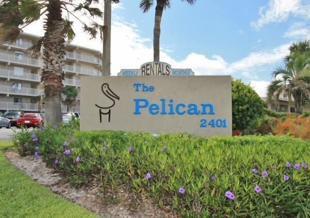 Pelican C606
