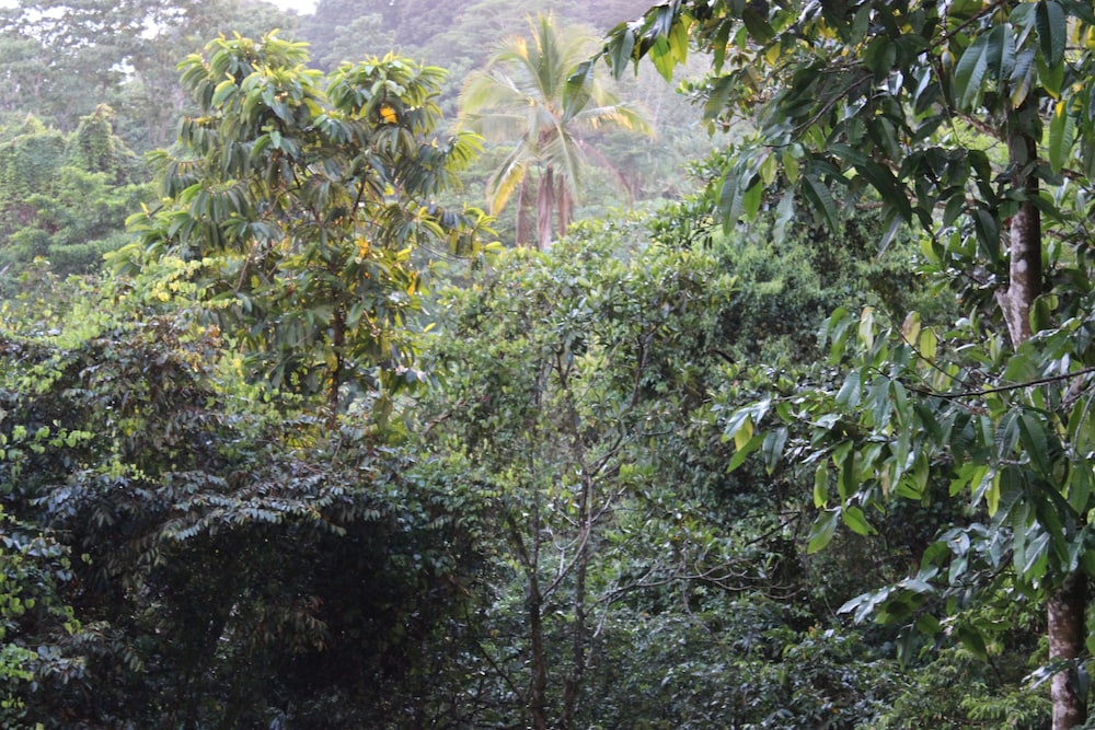 Villas de Oros