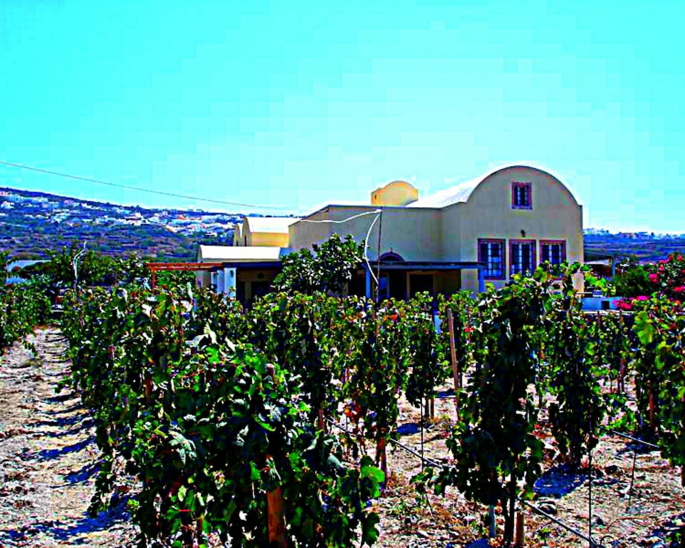 Hotel En Plo Boutique Suites | Oia Santorini