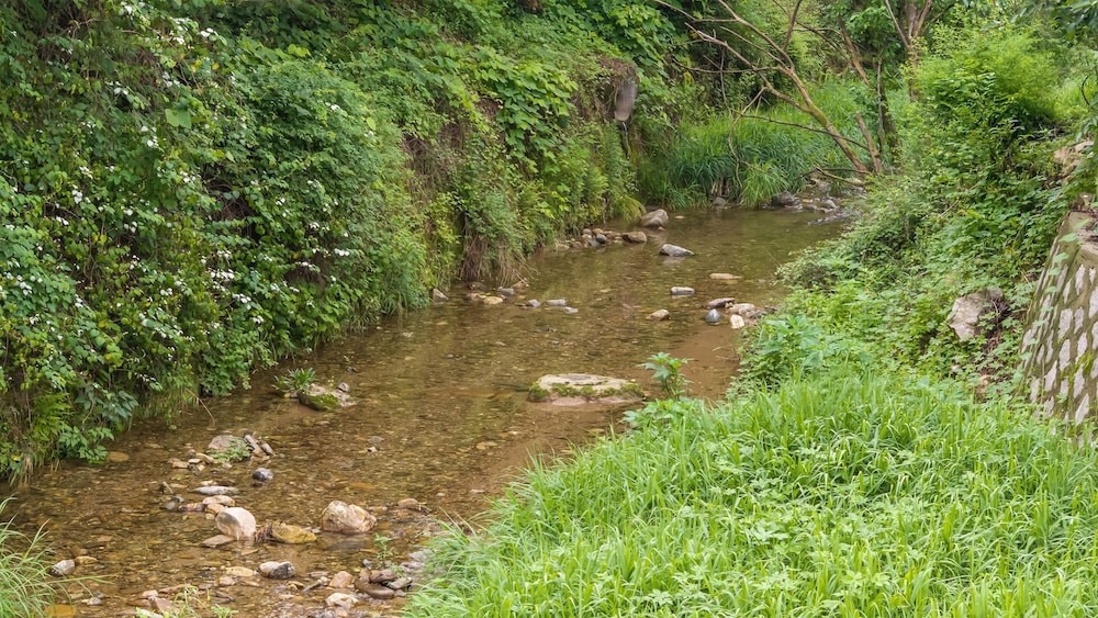 Gapyeong Nature Pension