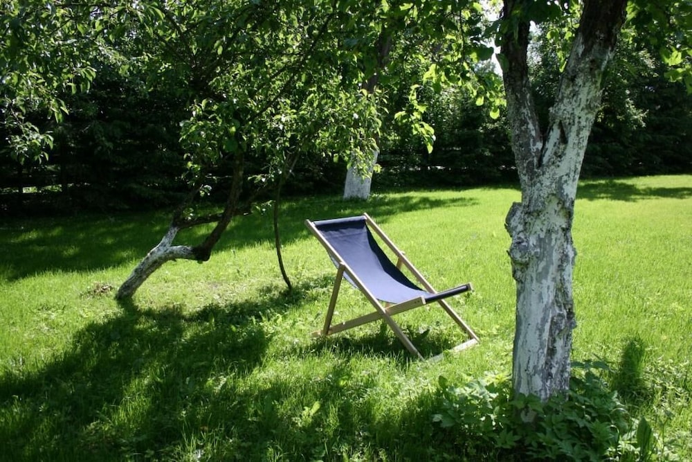Photo 51